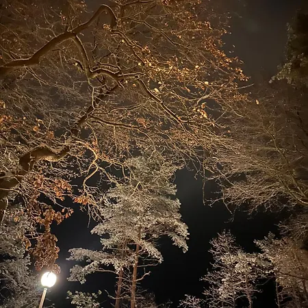 Apartmán Strandvilla Waldhaus *