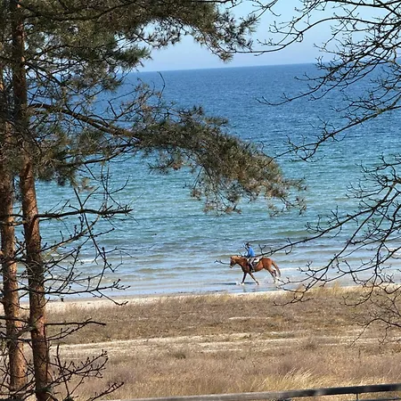 Strandvilla Waldhaus * Boltenhagen (Ostseebad)