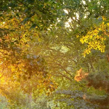 Apartmán Strandvilla Waldhaus Boltenhagen (Ostseebad)