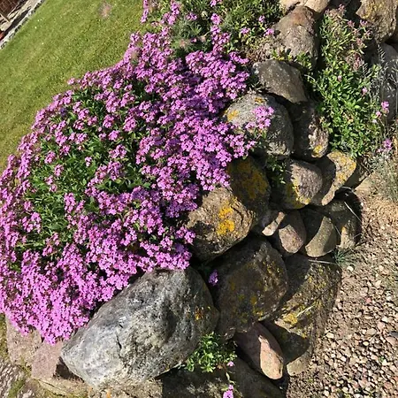 Strandvilla Waldhaus Apartmán