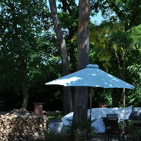 Strandvilla Waldhaus