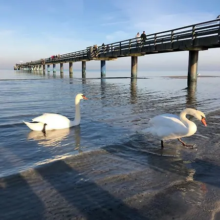 Apartmán Strandvilla Waldhaus *