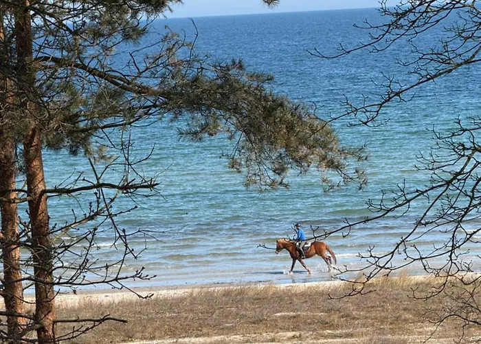 Strandvilla Waldhaus * 博尔滕哈根