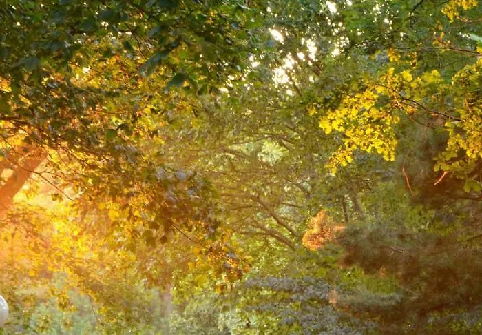 公寓 Strandvilla Waldhaus 博尔滕哈根