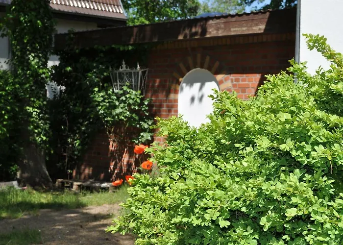 Strandvilla Waldhaus 公寓 博尔滕哈根