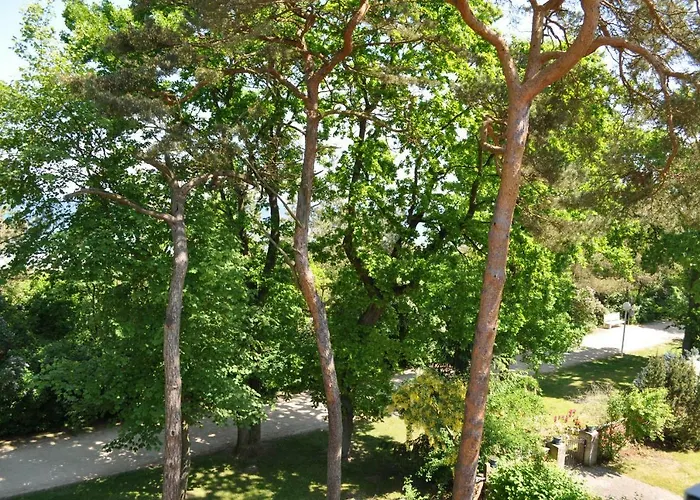 公寓 Strandvilla Waldhaus 博尔滕哈根