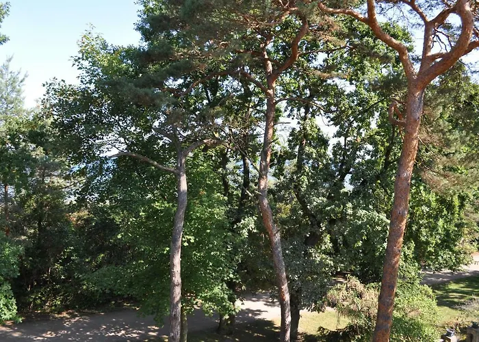 Strandvilla Waldhaus 公寓 博尔滕哈根